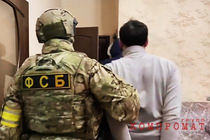 ФСБ раскрыла интересы задержанного украинского консула