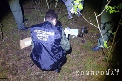 Пропавшую 12-летнюю россиянку обнаружили мертвой в лесополосе
