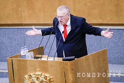 Жириновский пожаловался на ужин за 100 тысяч рублей с прощелыгами с юга
