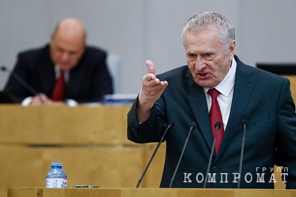 Жириновский порассуждал об уничтожении Германии как государства