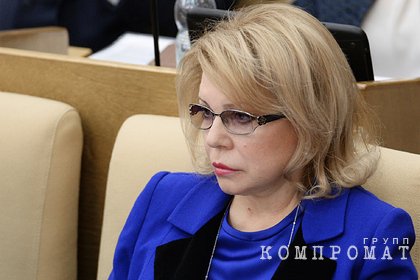 В Госдуме оценили предложенную Украиной альтернативу русскому миру