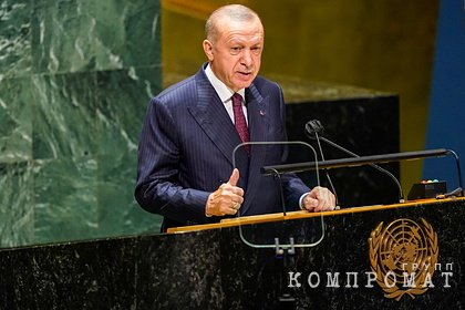 Отказу Эрдогана признавать Крым российским нашли неожиданное объяснение