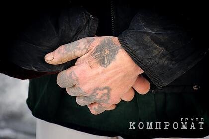 Сбежавшего российского заключенного вернули в колонию