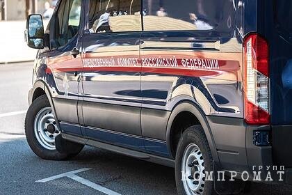 СК возбудил дело о склонении к беспорядкам в дни выборов в России