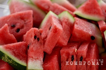 Центр дезинфекции проверят по делу об отравлении арбузом из Магнита
