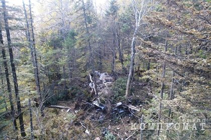 Экипаж рухнувшего под Хабаровском Ан-26 перепутал направление перед крушением