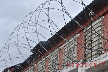 Охотник за педофилами из Петербурга раскрыл число пойманных преступников