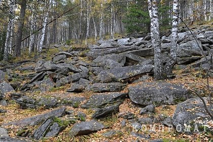 Пропавшего на Урале охотника нашли мертвым