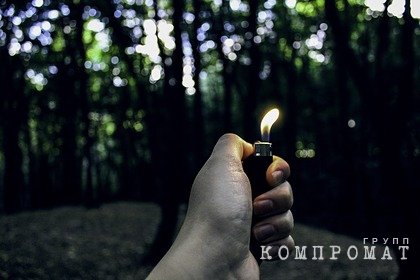 В России девушка подожгла бороду бездомному ради видео в соцсетях