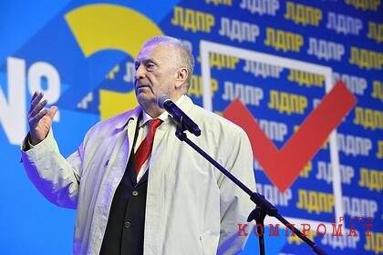 Жириновский заявил о готовых с улыбкой всадить нож в спину партиях