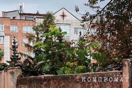 Продолжившего лекцию во время нападения пермского стрелка преподавателя заменили