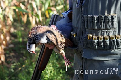 Российского судью тяжело ранили во время охоты