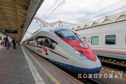 Скоростной поезд Сапсан сбил коляску с младенцем