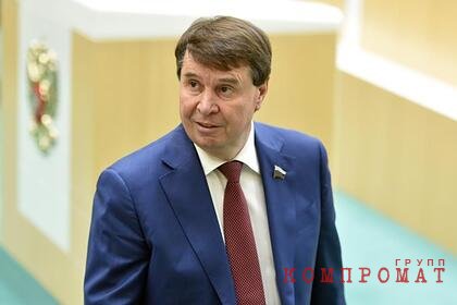 В Совфеде оценили идею предоставлять гражданство детям в смешанных браках