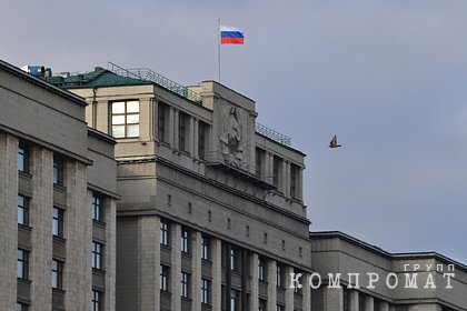 В Госдуме прокомментировали вручение Нобелевской премии Муратову