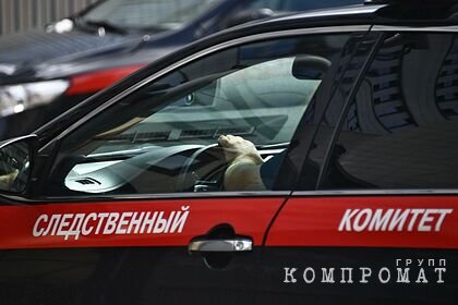 В Ярославской области 18-летняя девушка похитила трехлетнего ребенка