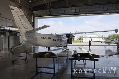 В России временно приостановили полеты L-410