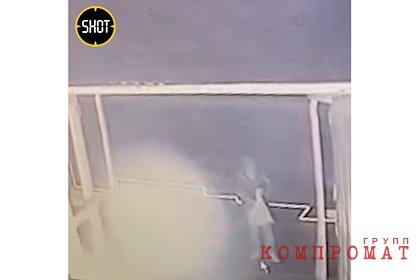 ФСБ задержала закидавшего коктейлями Молотова правительство Мурманской области