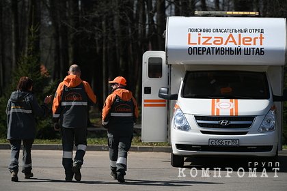 Лиза Алерт опровергла связь между гибелью человека и поисками Светличной