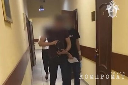Обвиняемая в убийстве вожатой в подмосковном детском лагере признала свою вину