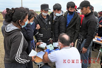 В Кремле прокомментировали миграционную амнистию для граждан Узбекистана