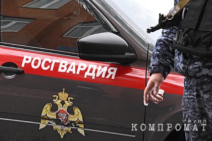 В Росгвардии прокомментировали бездействие своих сотрудников во время драки