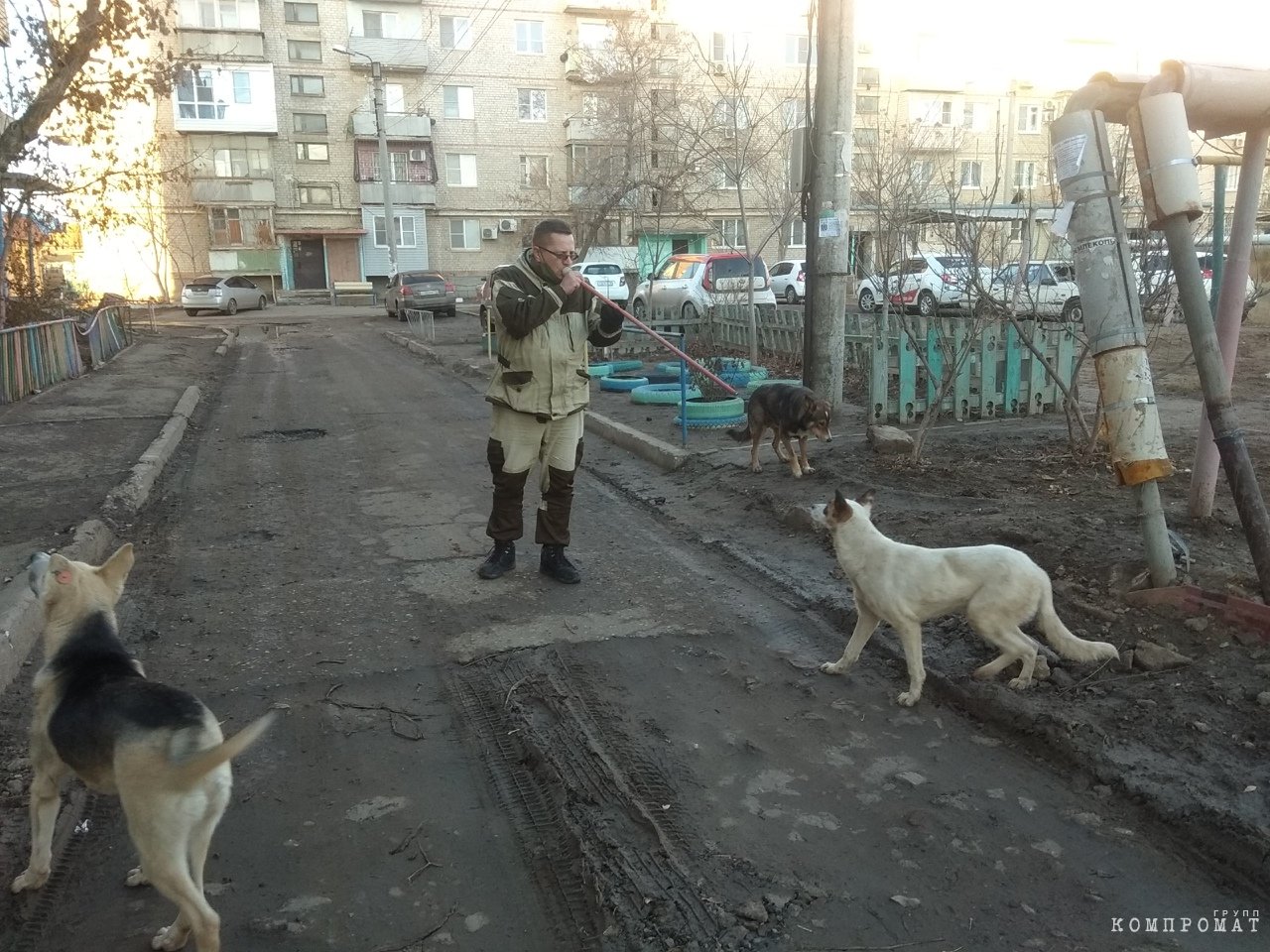Отлов собак в Астрахани