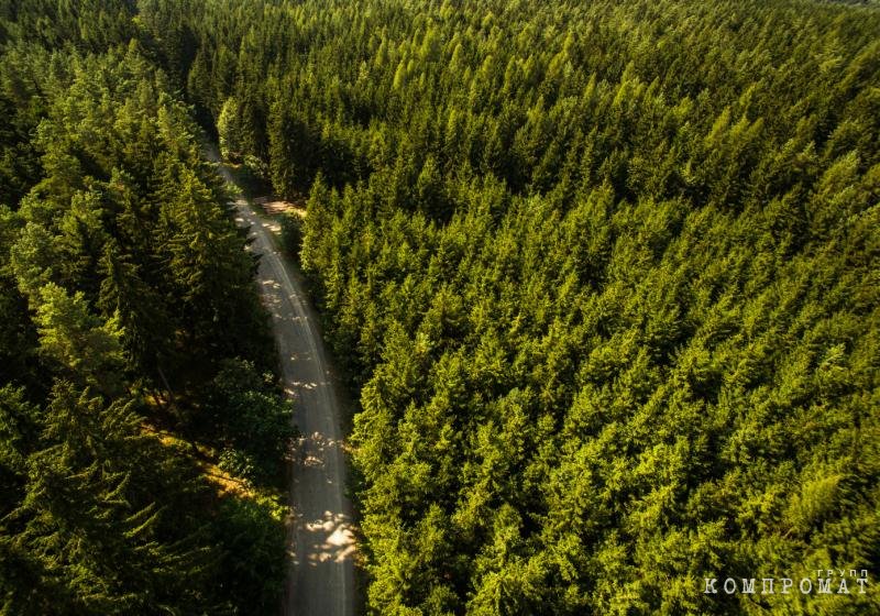 Лесхоз похозяйничал, или Как в Иркутской области нелегально леса вырубают