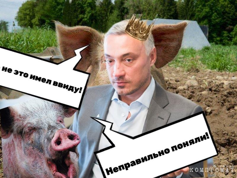 Паучья сеть Томского района расширяется: в альянс пустили свиновода