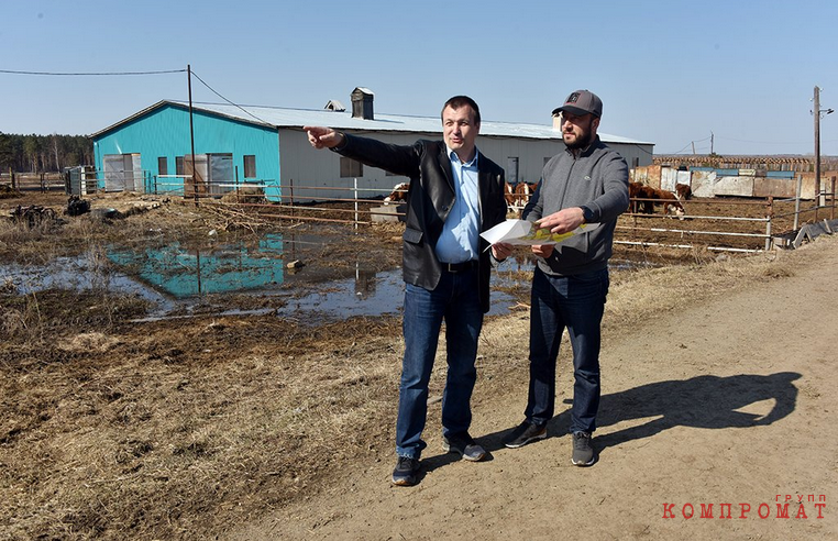 Предприниматели Петр Мизуров и Василий Аребьев намеревались создать кормовую базу для «Уральских нив»