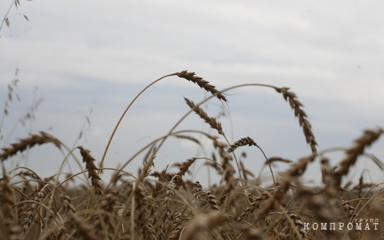 УрФО ждет скачков цен на сельхозпродукцию. Глава Челябинской области переложил решение проблем аграриев на продавцов ГСМ eidexirxiqkdrkm