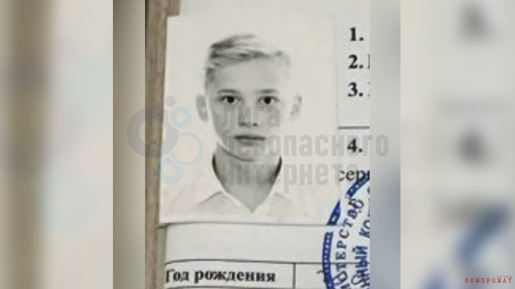 Екатерина Мизулина опубликовала фото Милохина из его личного дела
