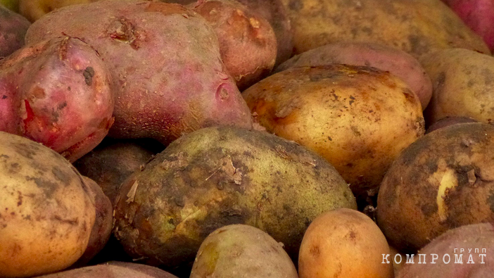 Овощеводы УрФО отказываются от уборки урожая и продают бизнес. Потребителям обещают картофель по 100 рублей