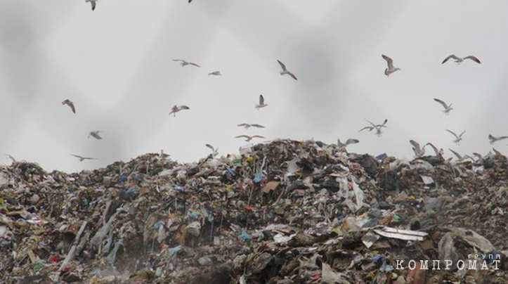 Опасные отходы «Россети Тюмень» утекли мимо «Росатома». Предприятия скрывают данные от РПН uqidrkiqxeiqrdatf