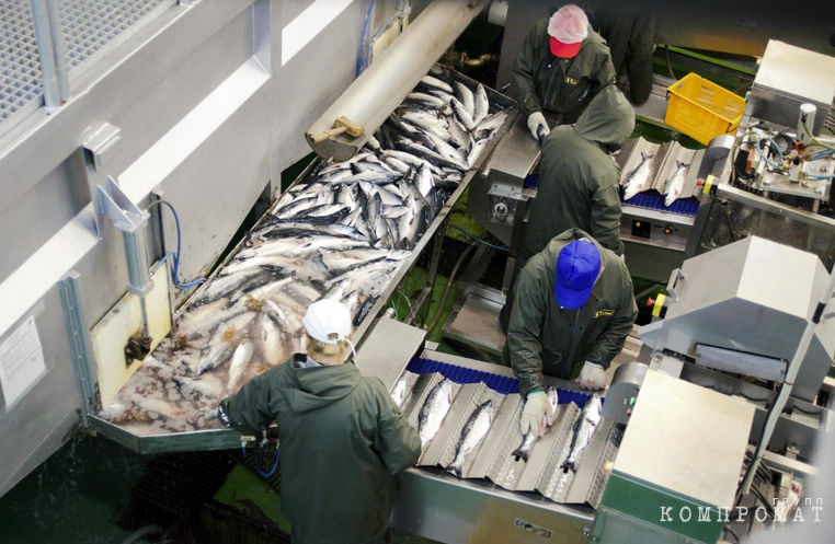 Власти ЯНАО отказались от помощи КМНС. «Рыбные миллионы» сконцентрировали в руках экс-сотрудника Росрыболовства queideeidrhixeatf